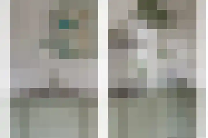Skilpaed 31 Dronryp thumbnail 25