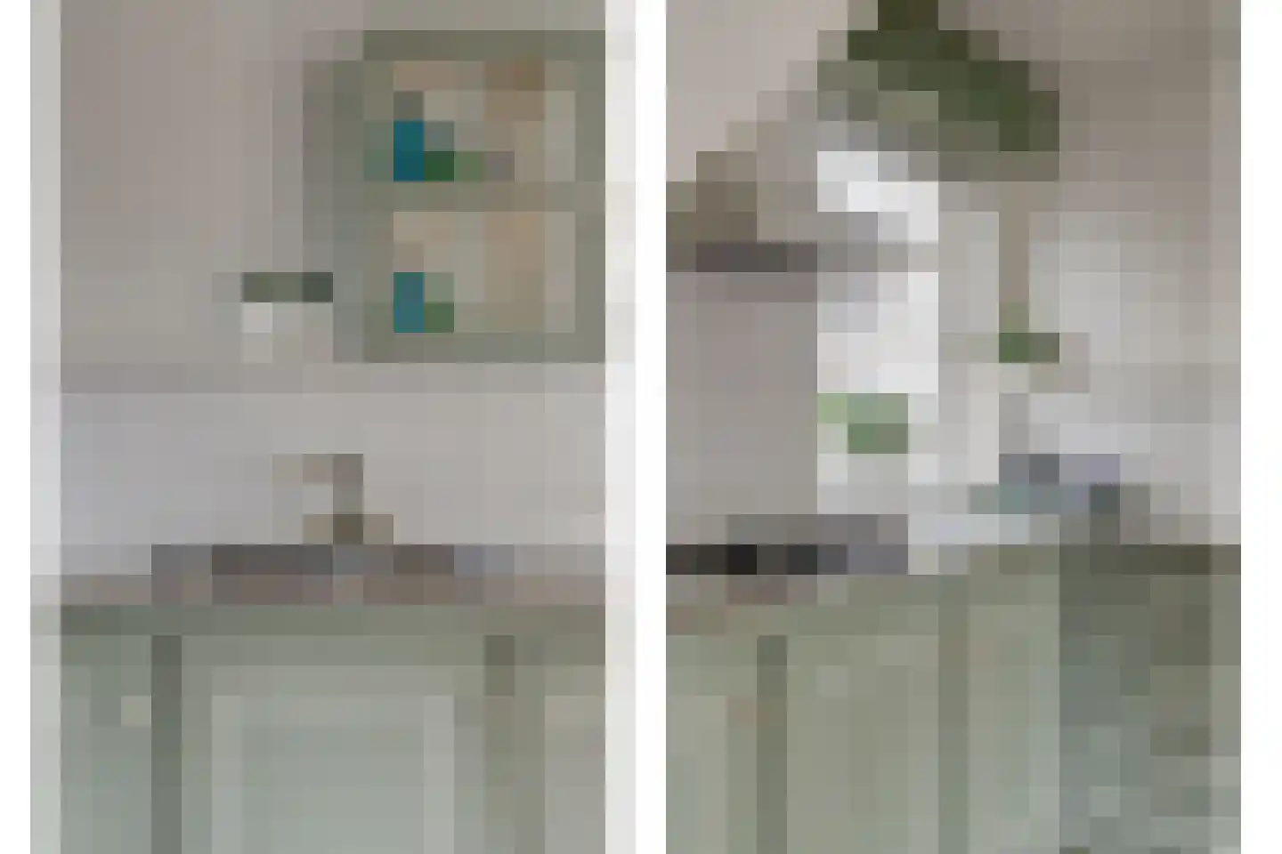 Skilpaed 31 Dronryp thumbnail 25