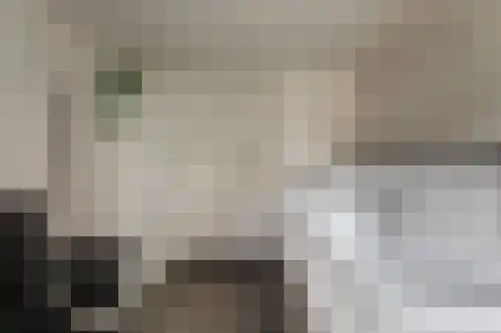Skilpaed 31 Dronryp thumbnail 26