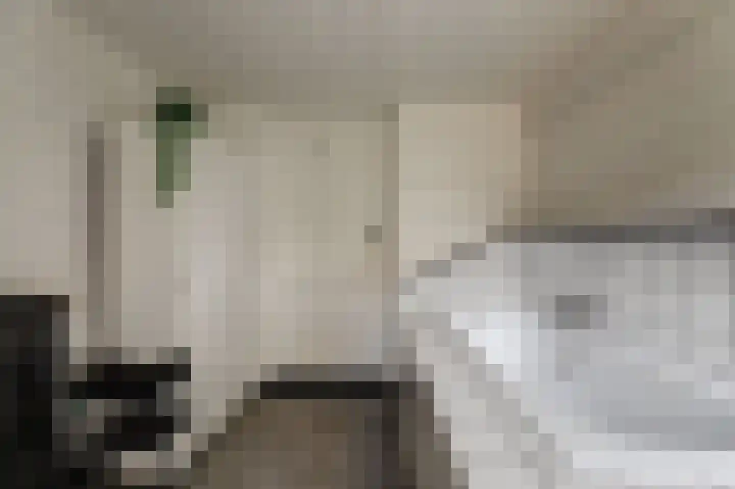 Skilpaed 31 Dronryp thumbnail 26