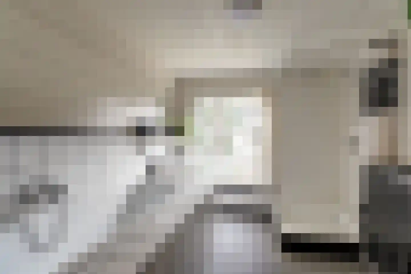 Skilpaed 31 Dronryp thumbnail 27