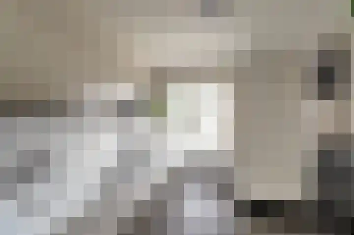 Skilpaed 31 Dronryp thumbnail 27