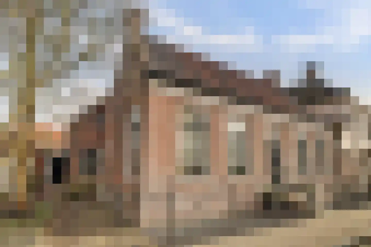 Skilpaed 31 Dronryp foto 3