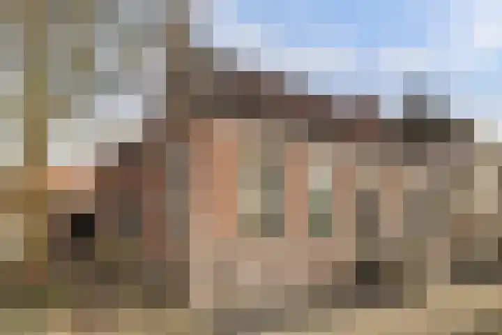 Skilpaed 31 Dronryp foto 3