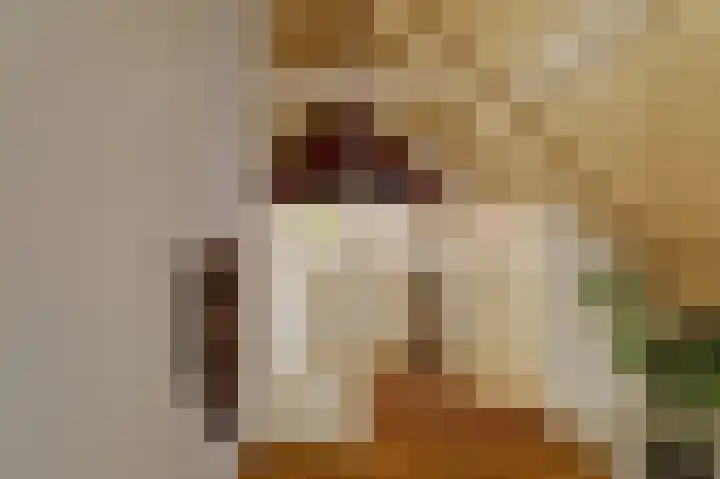 Skilpaed 31 Dronryp thumbnail 30