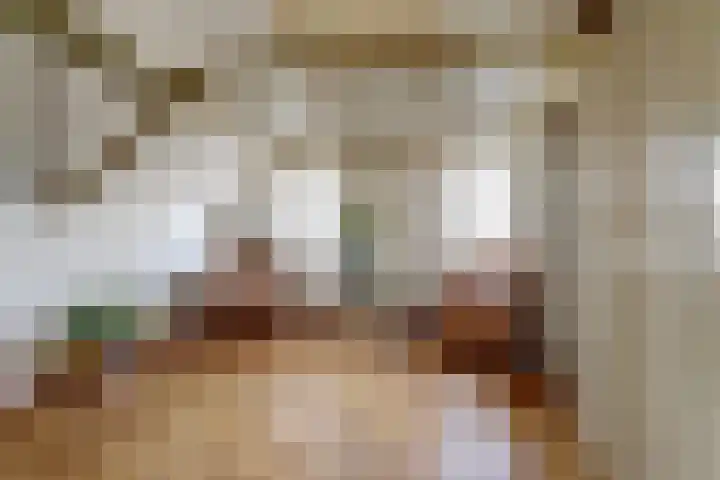 Skilpaed 31 Dronryp thumbnail 31
