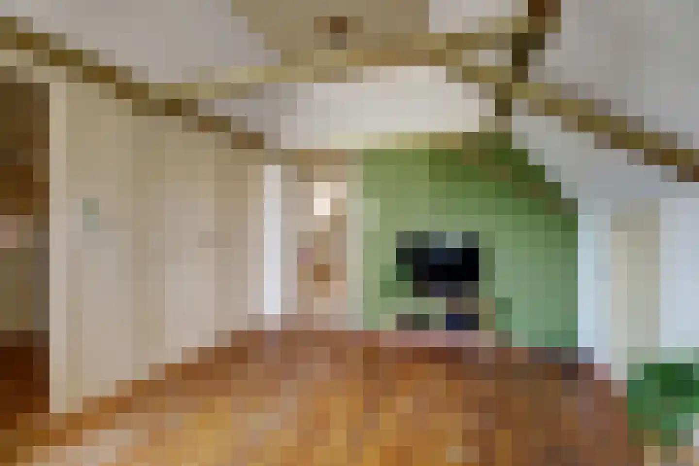 Skilpaed 31 Dronryp thumbnail 32