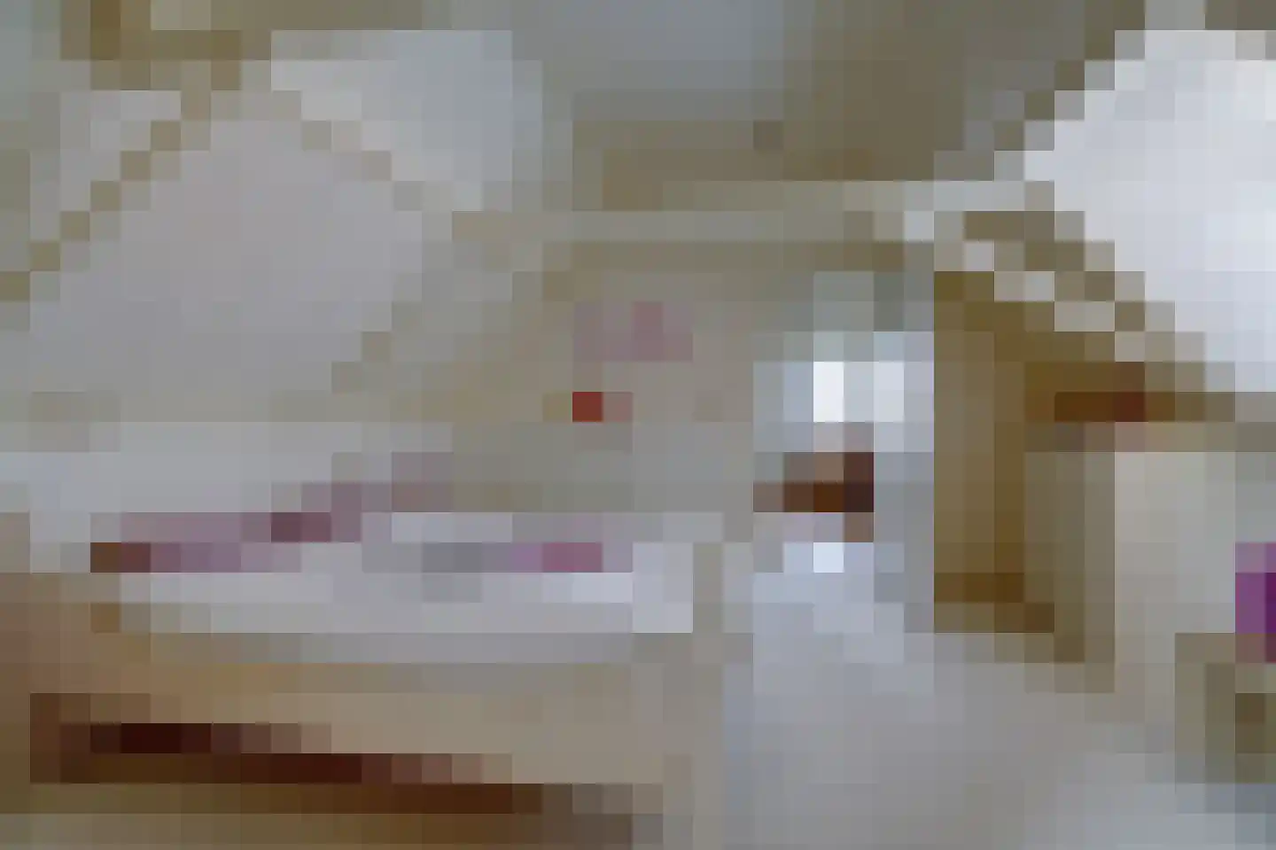Skilpaed 31 Dronryp thumbnail 33
