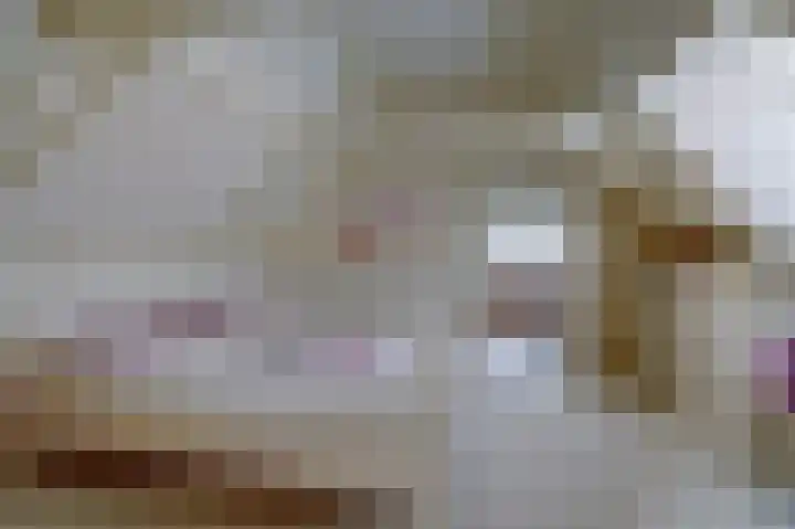 Skilpaed 31 Dronryp thumbnail 33