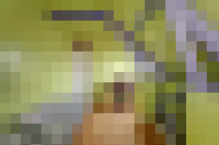 Skilpaed 31 Dronryp thumbnail 35