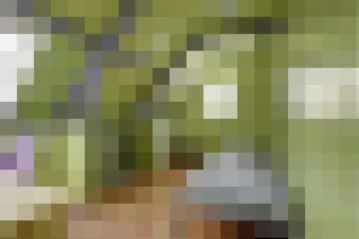 Skilpaed 31 Dronryp thumbnail 36