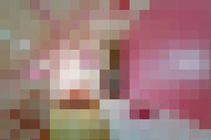 Skilpaed 31 Dronryp thumbnail 37