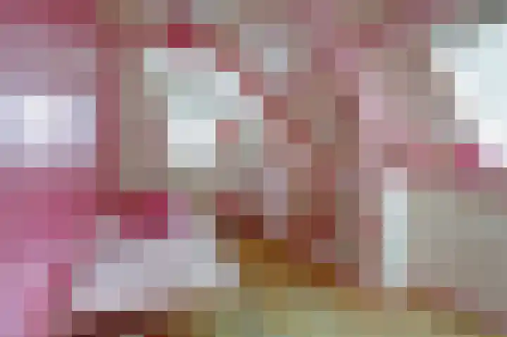 Skilpaed 31 Dronryp thumbnail 38
