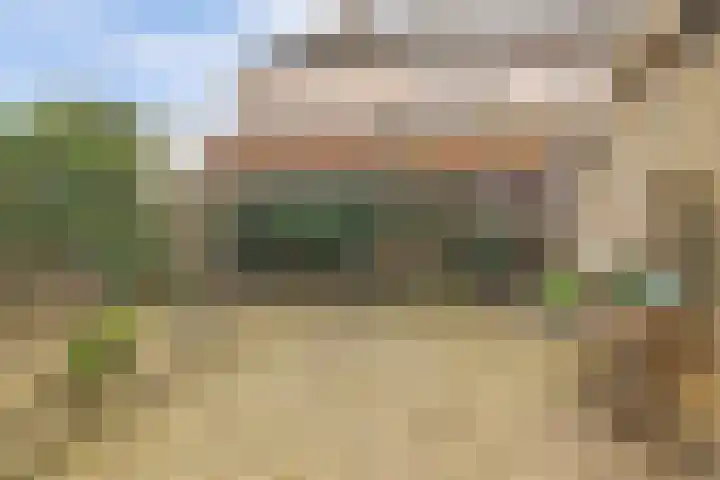Skilpaed 31 Dronryp thumbnail 39