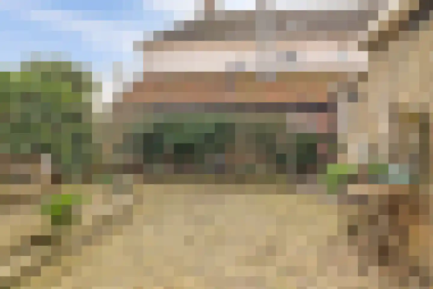 Skilpaed 31 Dronryp thumbnail 39