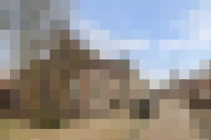 Skilpaed 31 Dronryp thumbnail 4