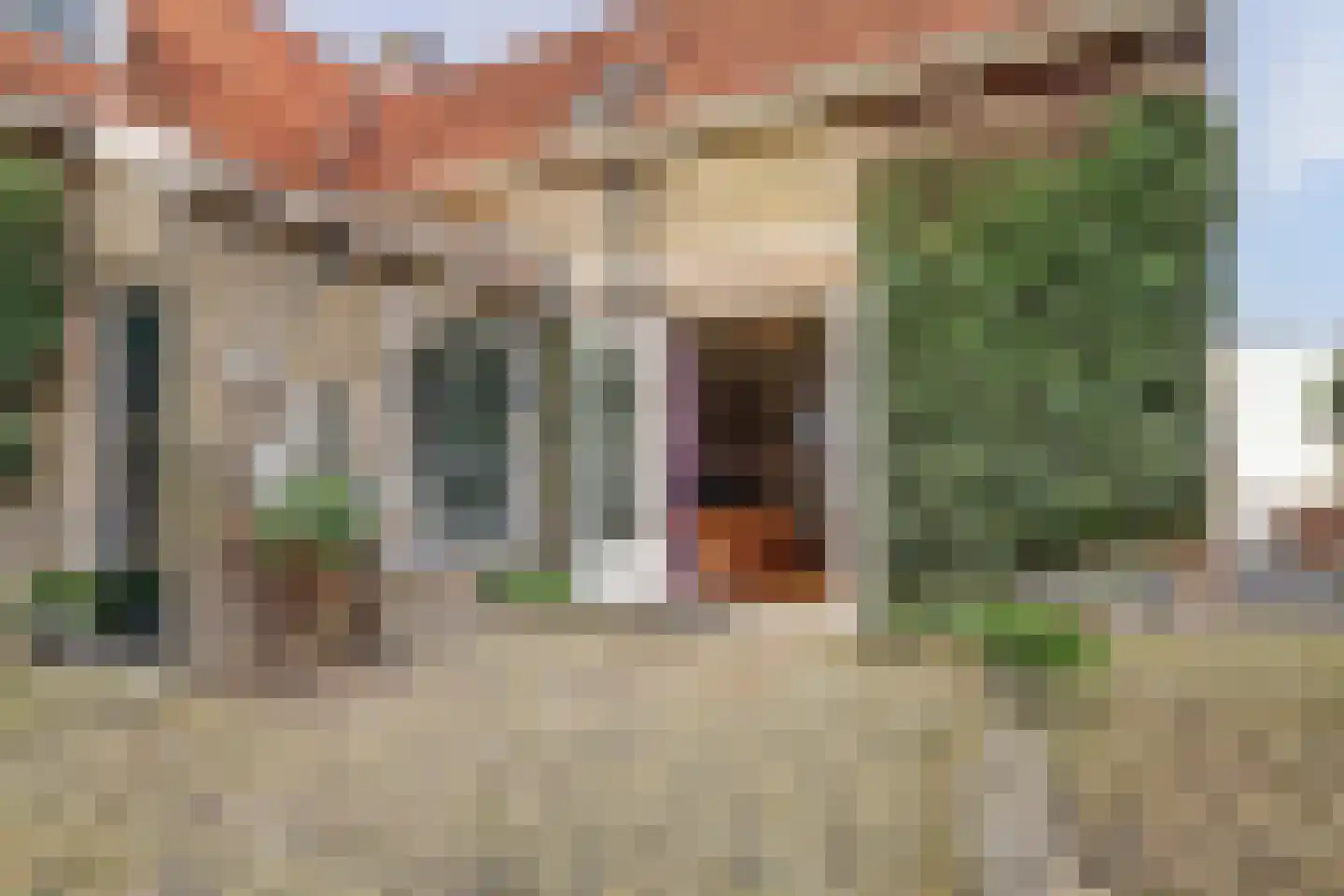 Skilpaed 31 Dronryp thumbnail 40