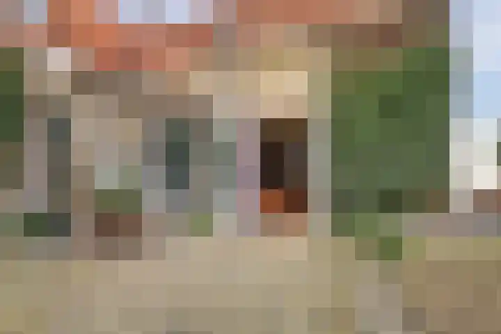 Skilpaed 31 Dronryp thumbnail 40