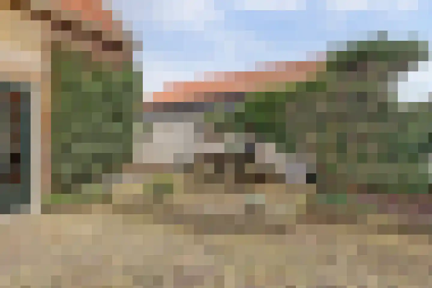 Skilpaed 31 Dronryp thumbnail 41