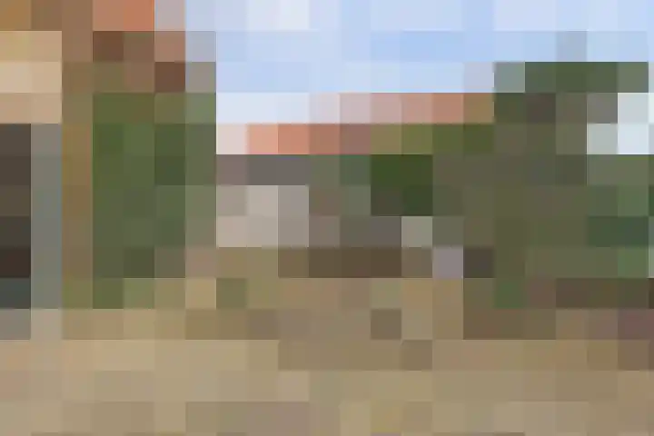 Skilpaed 31 Dronryp thumbnail 41