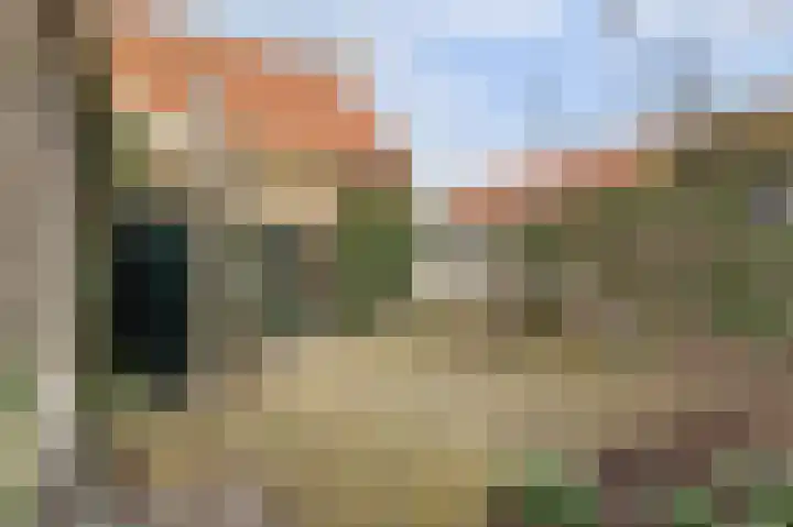 Skilpaed 31 Dronryp thumbnail 42