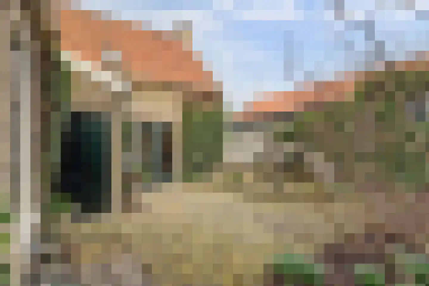 Skilpaed 31 Dronryp thumbnail 42