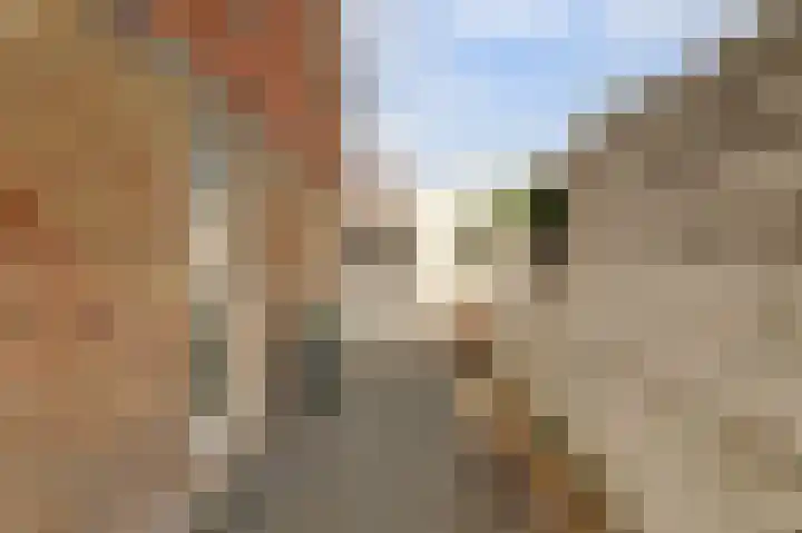Skilpaed 31 Dronryp thumbnail 43