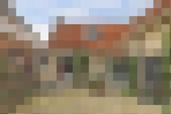 Skilpaed 31 Dronryp thumbnail 44