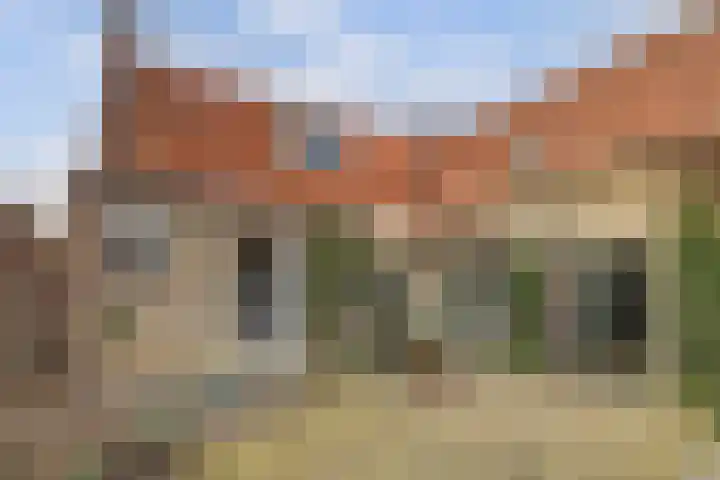 Skilpaed 31 Dronryp thumbnail 45