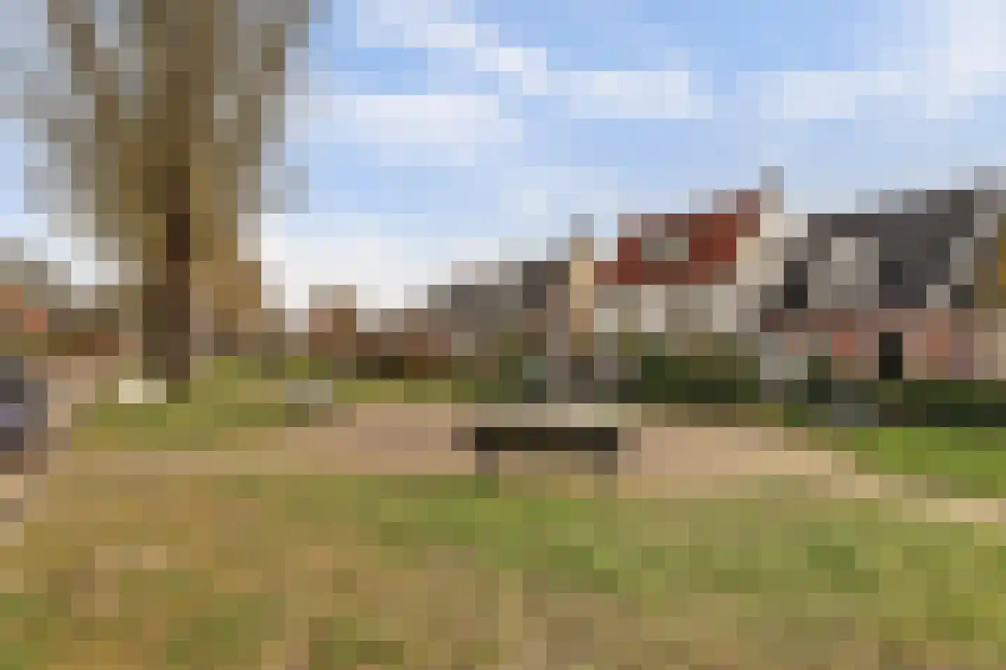 Skilpaed 31 Dronryp thumbnail 46
