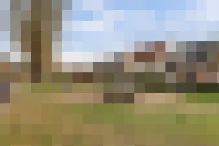 Skilpaed 31 Dronryp thumbnail 46