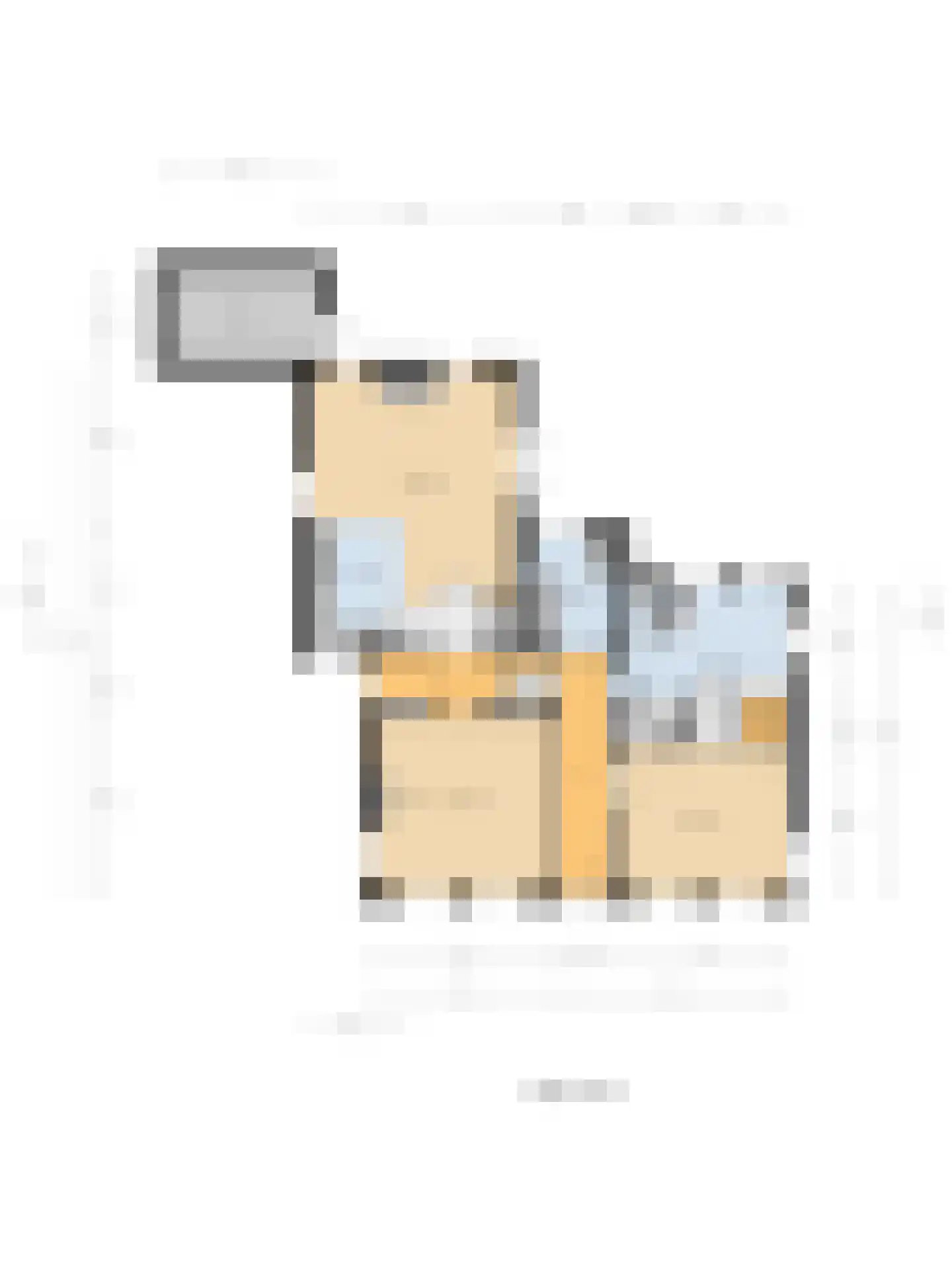 Skilpaed 31 Dronryp thumbnail 47