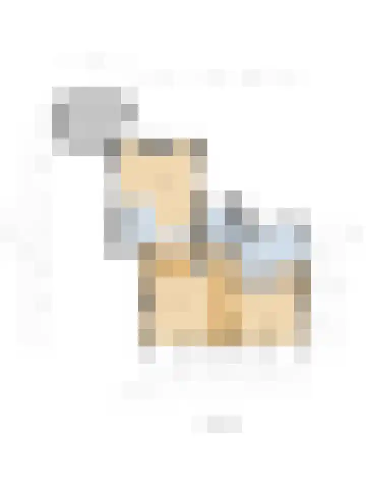 Skilpaed 31 Dronryp thumbnail 47