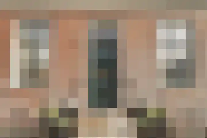 Skilpaed 31 Dronryp thumbnail 5