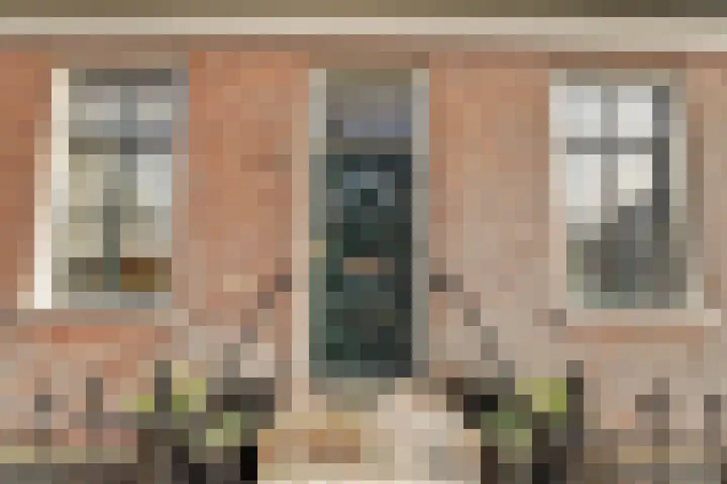 Skilpaed 31 Dronryp thumbnail 5