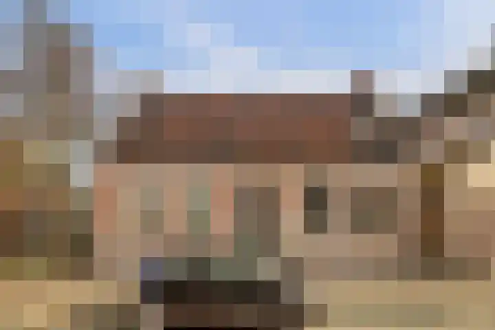 Skilpaed 31 Dronryp thumbnail 6