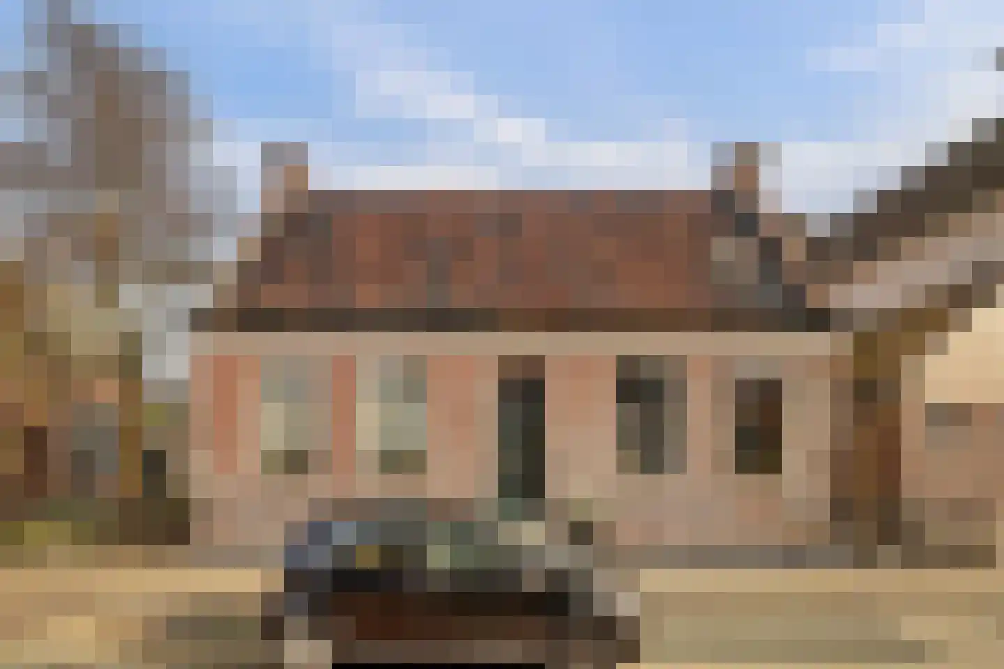 Skilpaed 31 Dronryp thumbnail 6