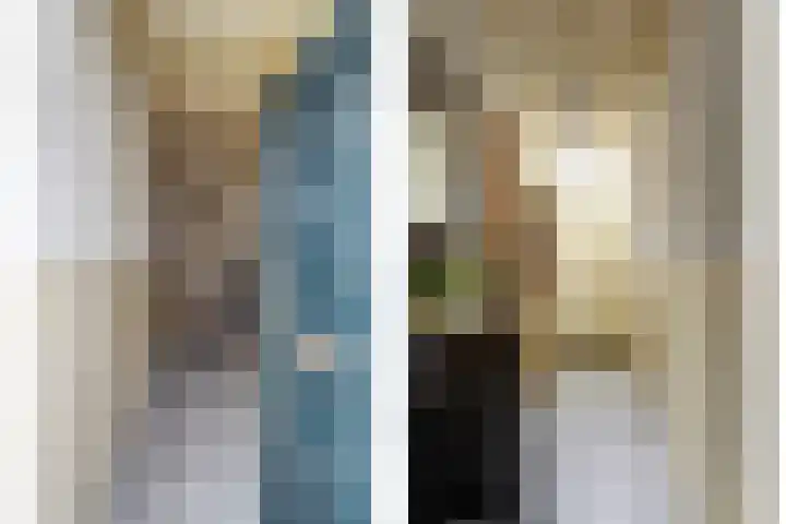 Skilpaed 31 Dronryp thumbnail 7