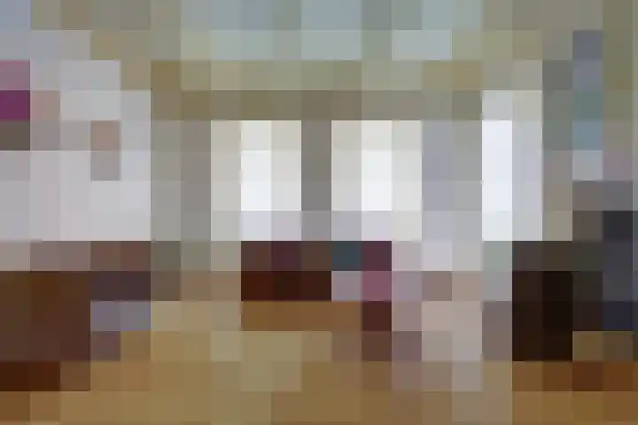 Skilpaed 31 Dronryp thumbnail 8