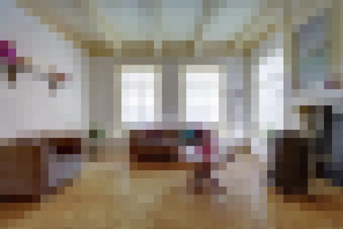 Skilpaed 31 Dronryp thumbnail 8