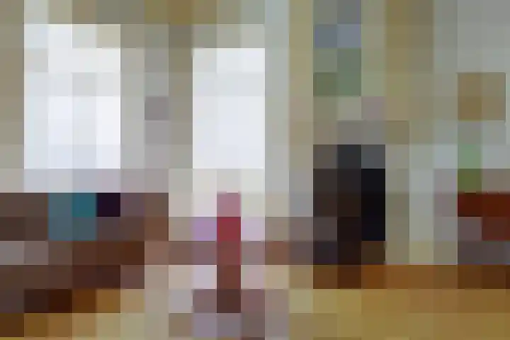 Skilpaed 31 Dronryp thumbnail 9