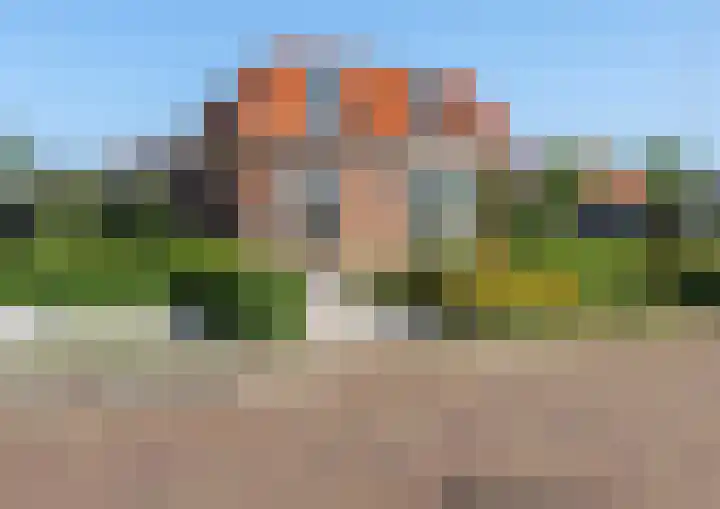 Skilpaed 9 Dronryp thumbnail 10