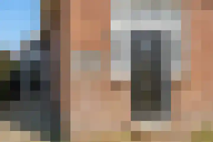 Skilpaed 9 Dronryp thumbnail 11