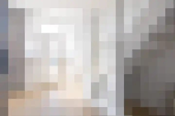 Skilpaed 9 Dronryp thumbnail 14