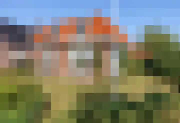 Skilpaed 9 Dronryp foto 2