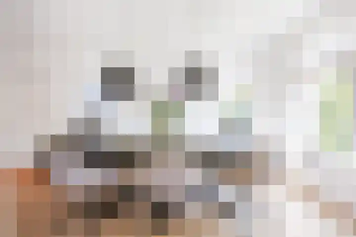 Skilpaed 9 Dronryp thumbnail 22