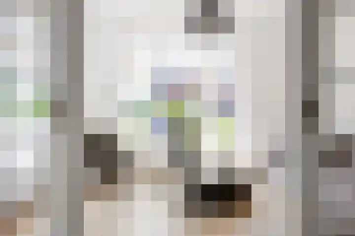 Skilpaed 9 Dronryp thumbnail 23