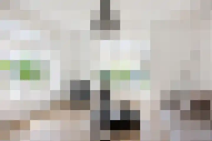 Skilpaed 9 Dronryp thumbnail 25