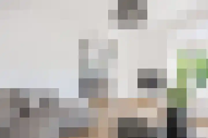 Skilpaed 9 Dronryp thumbnail 26