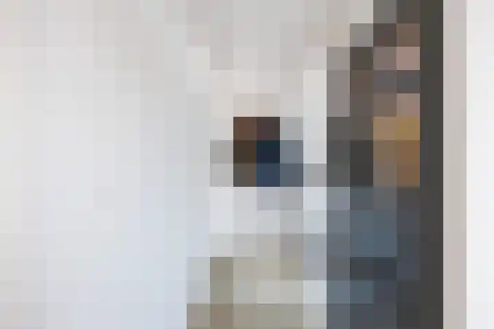 Skilpaed 9 Dronryp thumbnail 28
